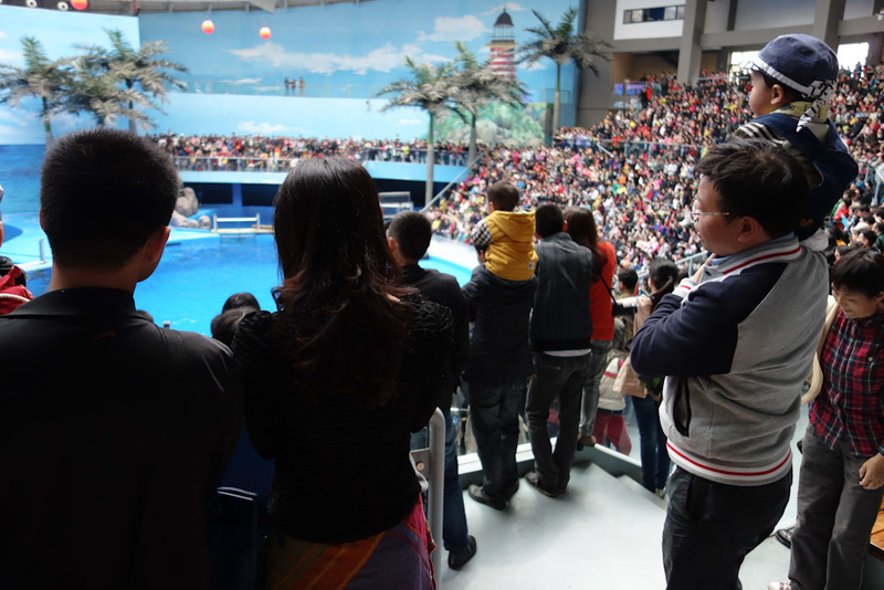 China-Chengdu-Polar Ocean World - I got to the dolphin stadium 30 minutes early and got a good spot, it was half full then. By the time it started there were people standing everywhere