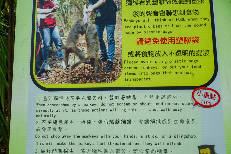 Taiwan-Kaohsiung-Monkeys-Temple-Beach - 'Do not shoo away the monkeys with your hands, a stick or a slingshot', you mean to tell me I carried my slingshot up here for nothing?