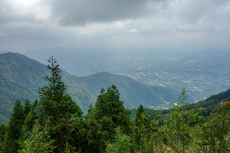 Taiwan-Puli-Hiking-Temple - I briefly considered trying to descend another way, there was a logging trail grown over. It gave a better view of the city below but I had not guaran