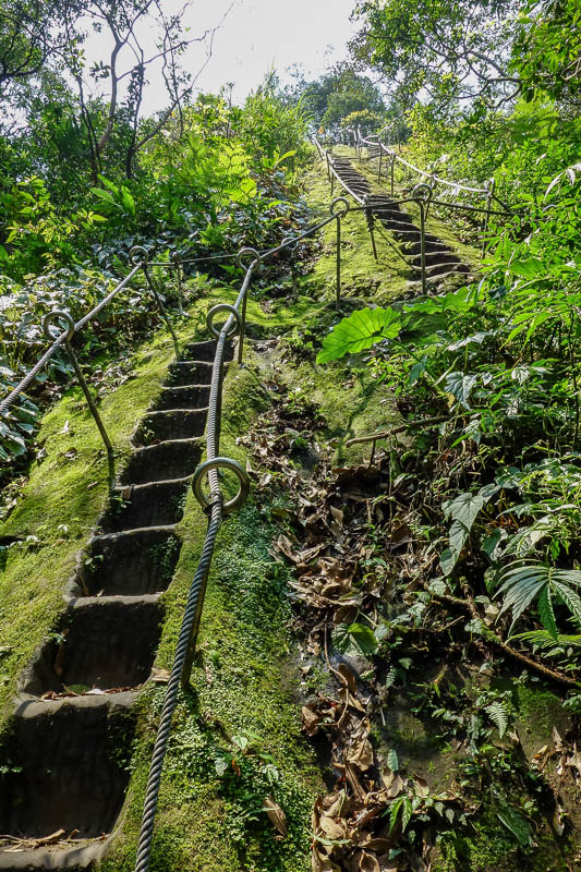 Taiwan-Pingxi-Hiking-Climbing - I went back to the bottom along a different path, now it was time for the longest set of stairs, which started mossy.