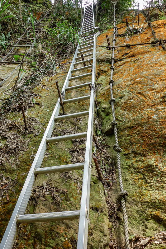 Taiwan-Taipei-Hiking-Wuliaojian - The very last bit is ladders. I dont know why, I found these to be more dangerous than the ropes. The ladders were hanging from metal stakes you might