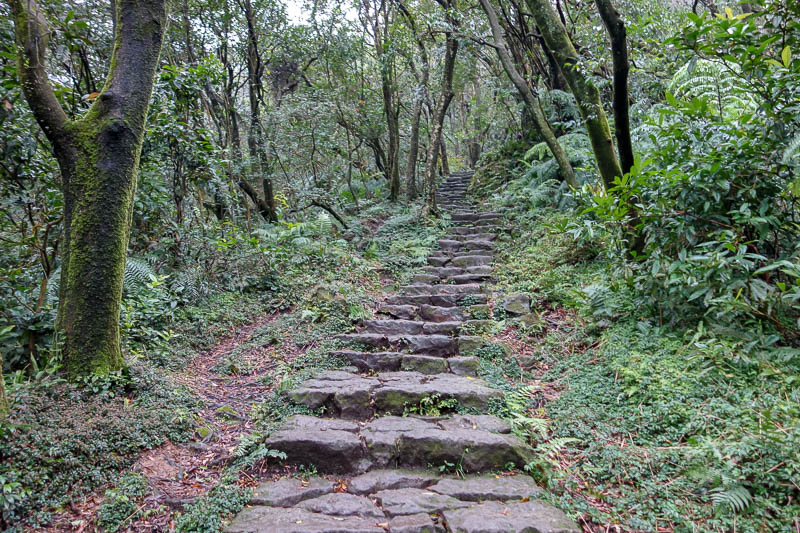 Taiwan-Taipei-Hiking-Yangmingshan - The path up is steps, all the way, no let up!