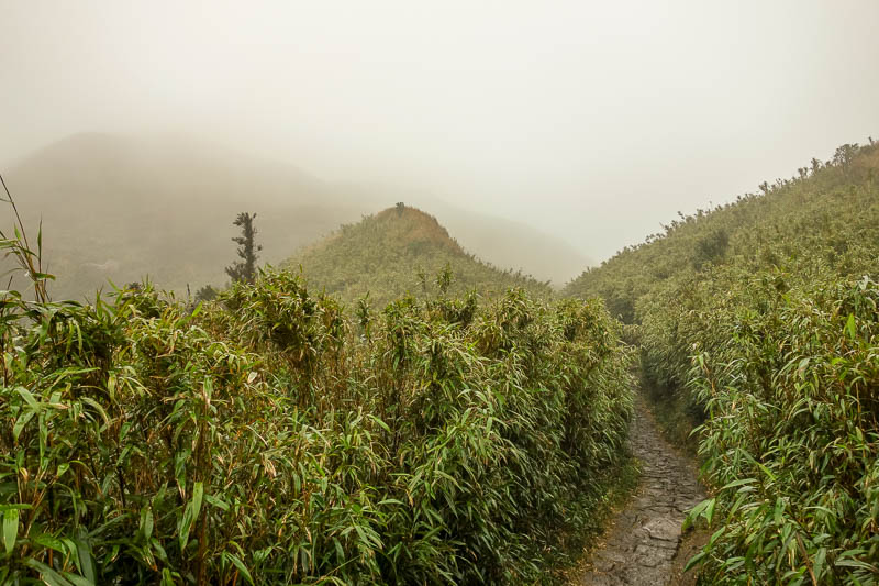 Taiwan-Taipei-Hiking-Yangmingshan - My final goal is around to the left in the cloud, really getting wet now.