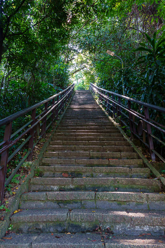 Taiwan-Taipei-Hiking-Elephant Mountain - Today's hike was completely stairs and concrete trails. Largely slippery step free.