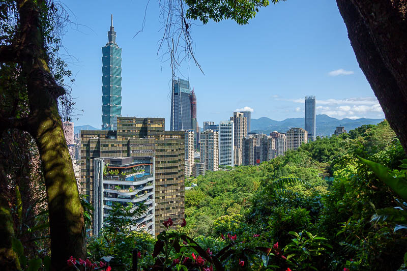 Taiwan-Taipei-Hiking-Elephant Mountain - First view of Taipei 101. There are flowers lining the path in many areas.