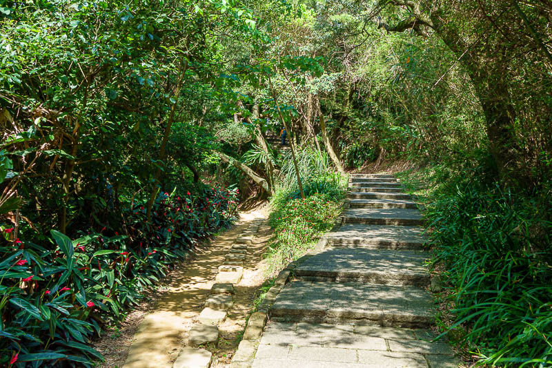 Taiwan-Taipei-Hiking-Elephant Mountain - I carried on, along a nice path that was more like a linear garden through the hills. A lot of old dudes wanted to chat today.