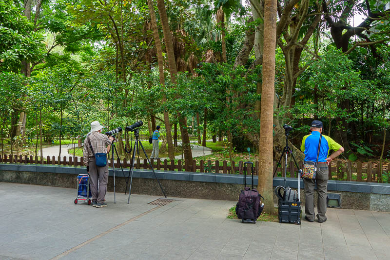 Taiwan-Taipei-Temple-Garden - Now to observe people observing a tree trunk. I am guessing they are waiting for a bird to appear.