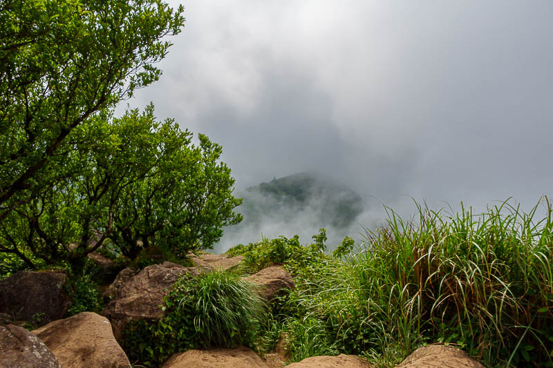 Taiwan-Taipei-Hiking-Datun-Yangmingshan - A foggy view of the next Datun peak over.