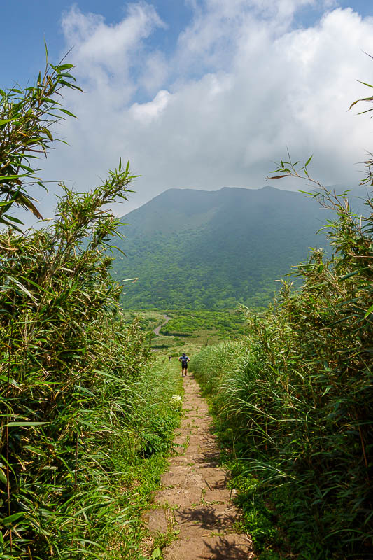 Taiwan-Taipei-Hiking-Datun-Yangmingshan - First some non mossy steps down the mountain, so far so good.