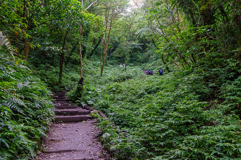 Taiwan-Yilan-Hiking-Marian trail - And lots and lots of slippery steps. I was moist, everything was moist, my bag was dripping with moistness, so was my camera. It was kind of hard to t