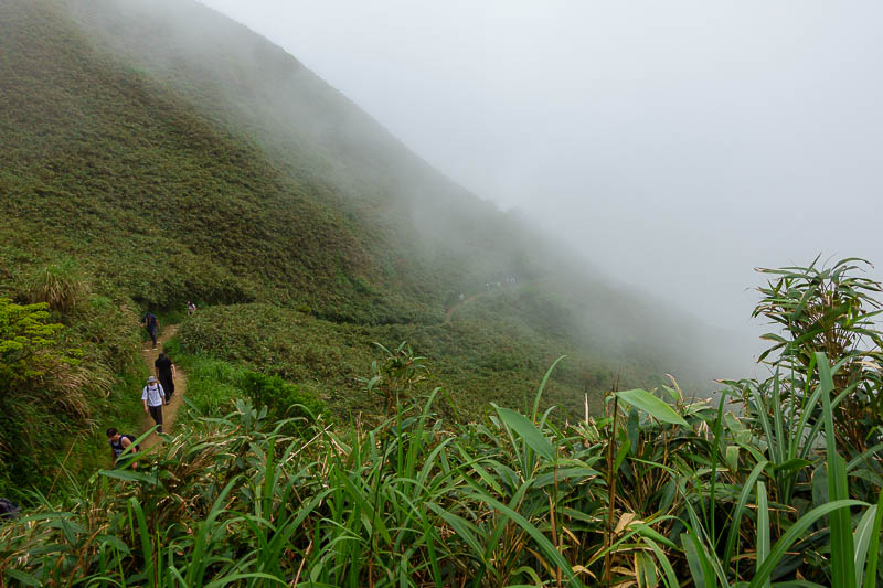 Taiwan-Yilan-Hiking-Marian trail - It was now hot, and foggy, but no rain at all.