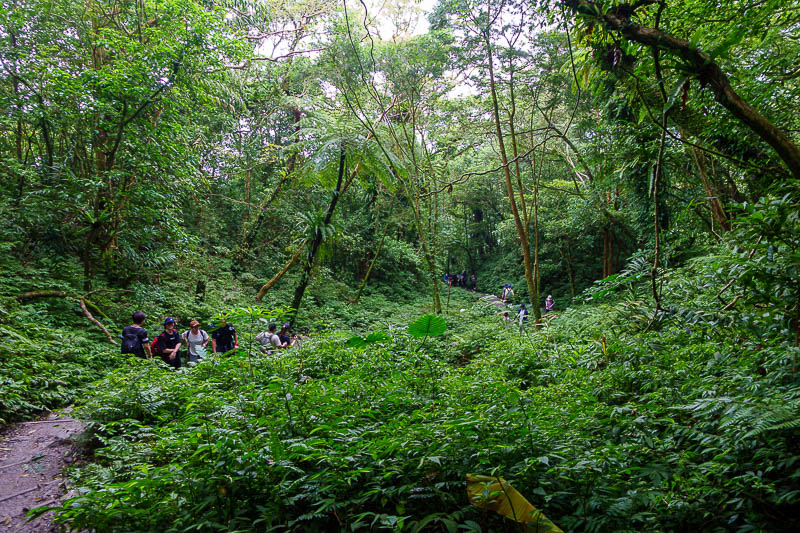 Taiwan-Yilan-Hiking-Marian trail - So green, lots and lots of people.