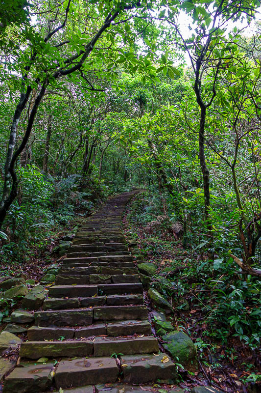 Taiwan-Yilan-Hiking-Caoling Trail-Hiking - These steps look fine, but I cannot figure out how they are so slippery!