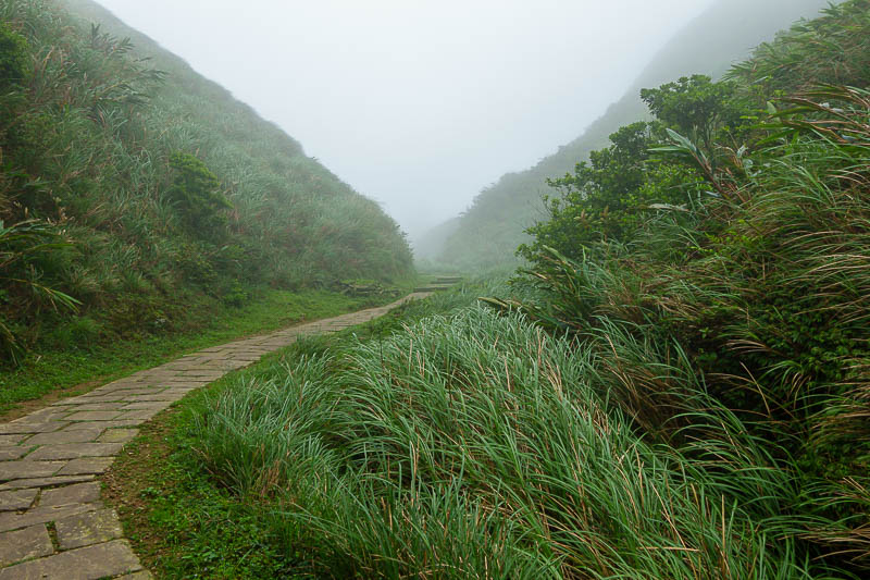 Taiwan-Yilan-Hiking-Caoling Trail-Hiking - I popped out of the forest, and into dense fog. It is near here that you are supposed to get the view of the coast. Not for me today!