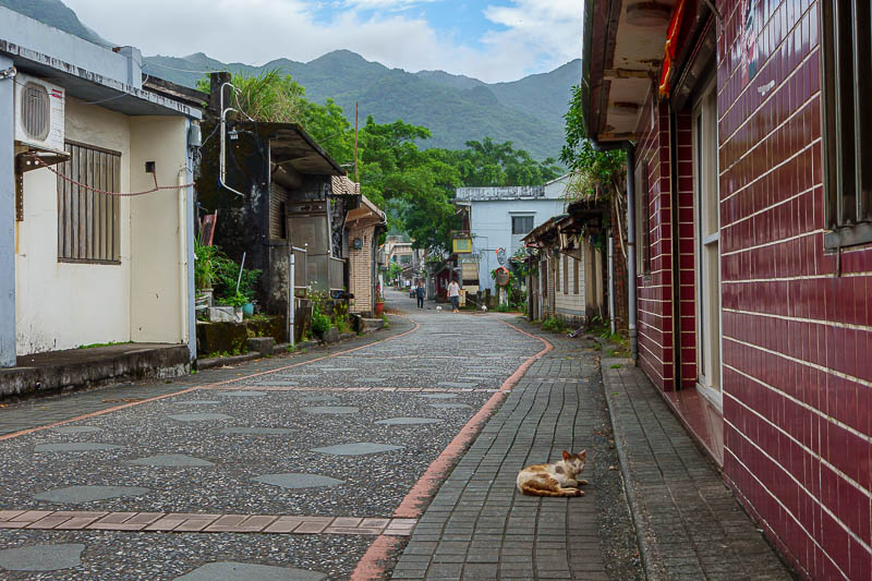 Taiwan-Yilan-Hiking-Caoling Trail-Hiking - And here is Dali old street, and a very old sad looking cat, and not much else. No shops, not even a convenience store, not even a vending machine.