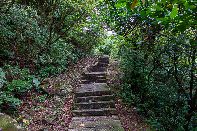 Taiwan-Keelung-Houtong-Jiufen-Hiking - I was surprised at the quality of the path today. This section is labelled the stairway to heaven.