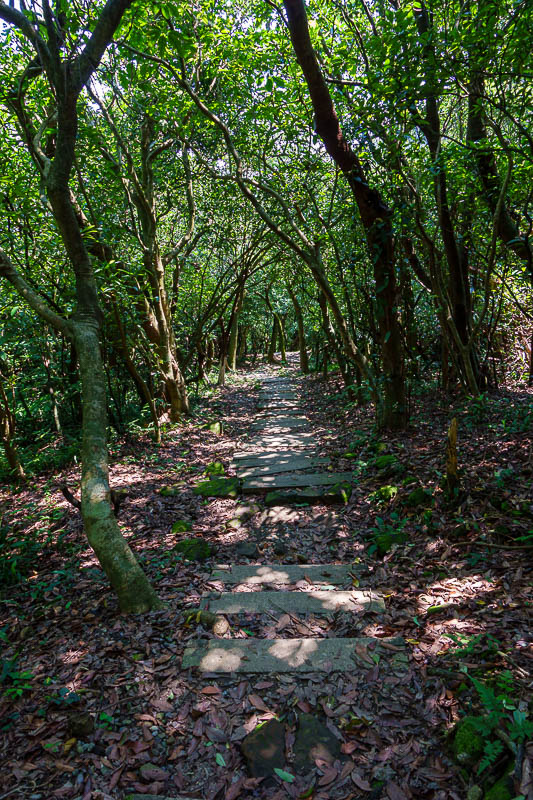 Taiwan for the 5th time - April and May 2023 - Next I spotted the path down to the sea, the haixing trail to be precise. A slightly less developed trail, but of the non slippery kind.