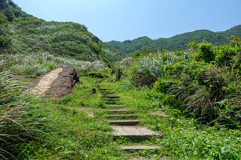 Taiwan-Keelung-Lovers lake-Danwulun Fort - The view back up is.. all green.