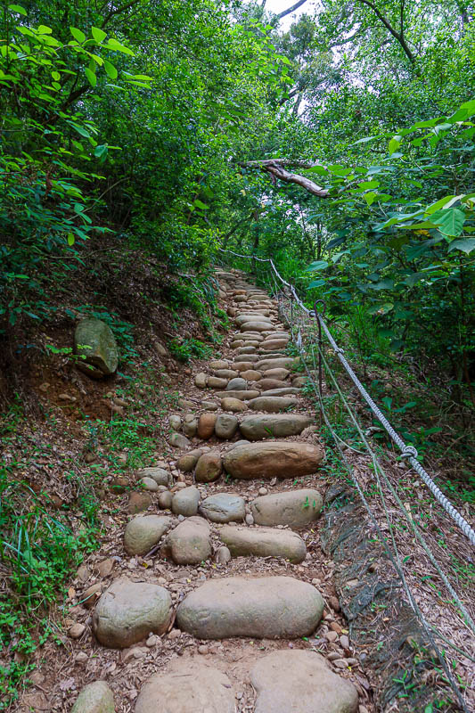 Taiwan-Taichung-Hiking-Huoyan Mountain - No actual stairs today, but some rocky stairs like this. Not at all slippery.