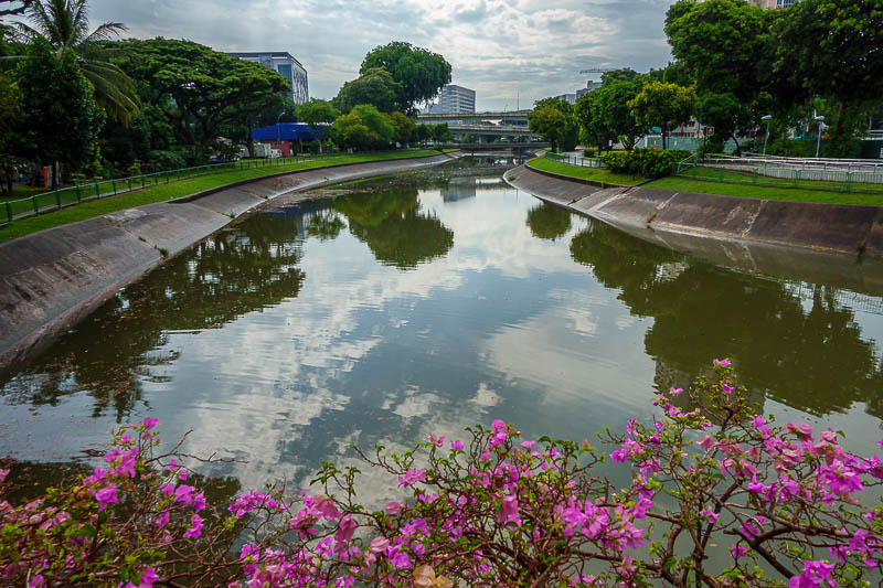 Singapore-Chinatown - Today's open sewer. The pink flowers and reflection look nice, but it is surprisingly full of rubbish.