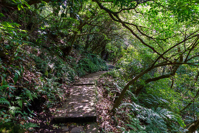 Taiwan-Taipei-Hiking-Yangmingshan - Today's path is very developed, steps like this, but also moss covered slippery rounded steps. Be careful! I managed to not slip over, I did on previo