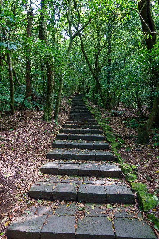 Taiwan-Taipei-Hiking-Yangmingshan - Now for 3 photos of steps, no moss.